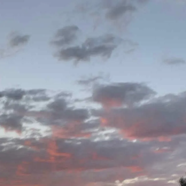 chat with ai character: Shedletsky 