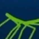 chat with ai character: Stick bug 