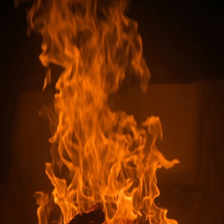 chat with ai character: the bonfire 2 