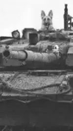 ai character: The Somme (1916) background