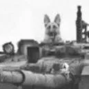 chat with ai character: The Somme (1916)