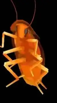 ai character: rainbow roach background
