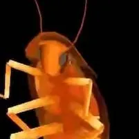 chat with ai character: rainbow roach