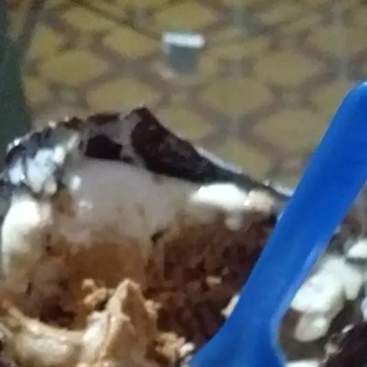 chat with ai character: HOLIIIS