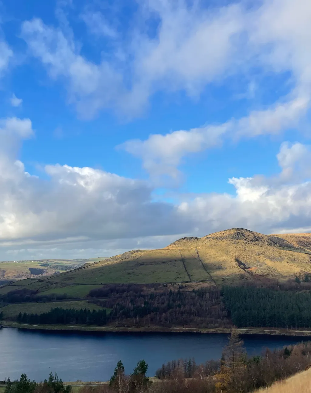 chat with ai character: Dabi 💙💙💙💙