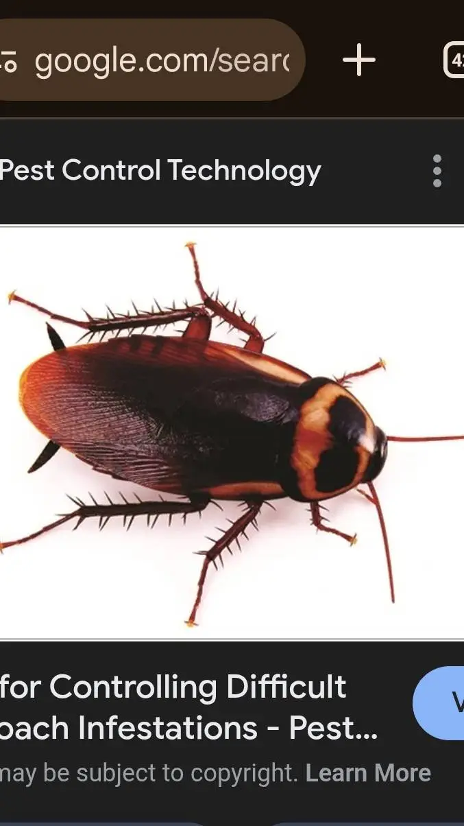 ai character: Mr cockroach  background