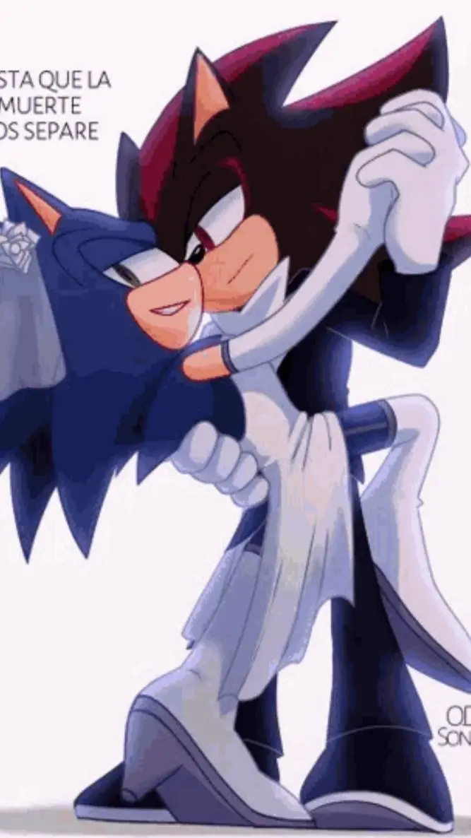 ai character: ⬛Sonadow🟦 background