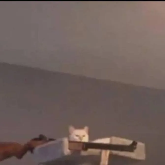 chat with ai character: Cat with a gun