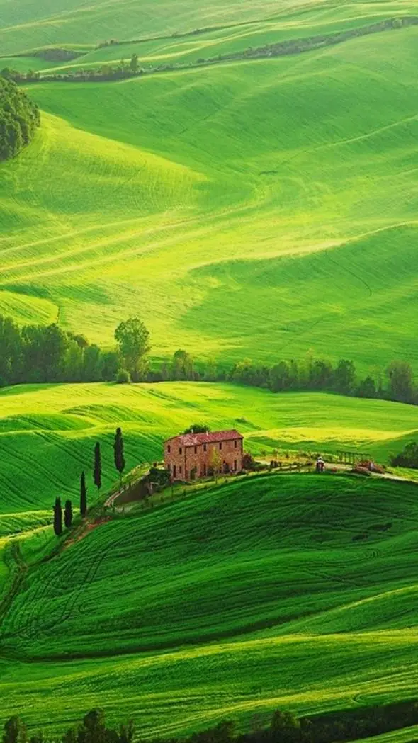 Talkie AI - Chat with village 