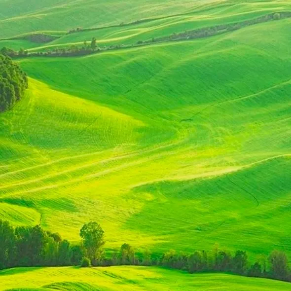 chat with ai character: village 