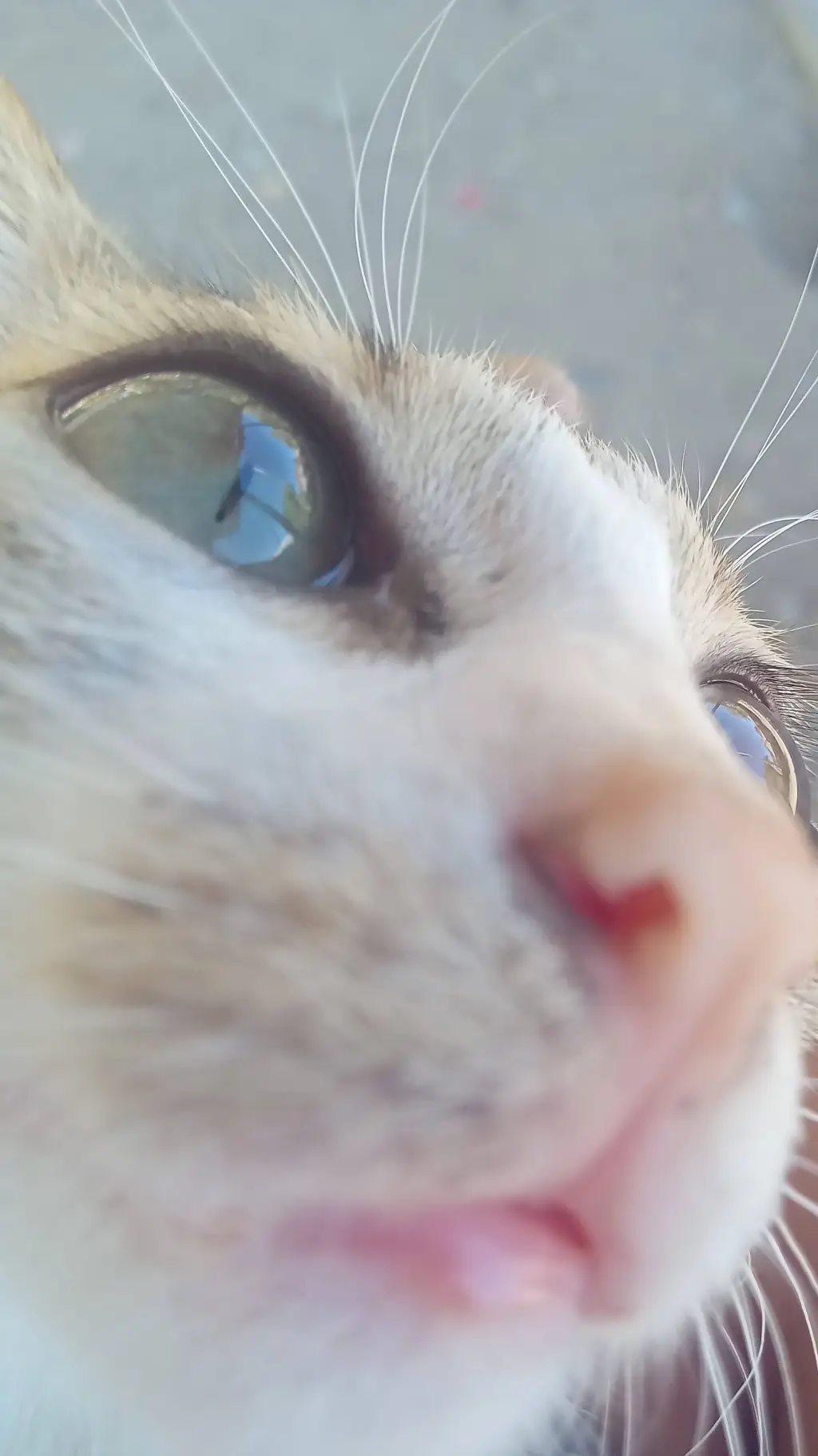 ai character: Aurora  background