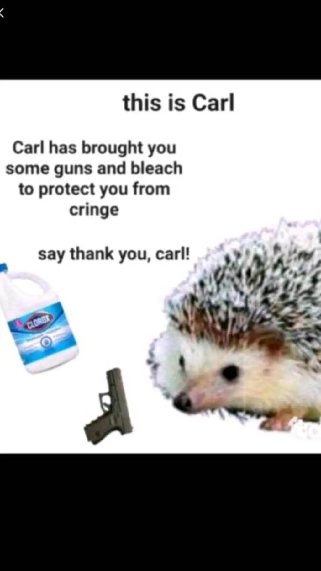 ai character: CARL background