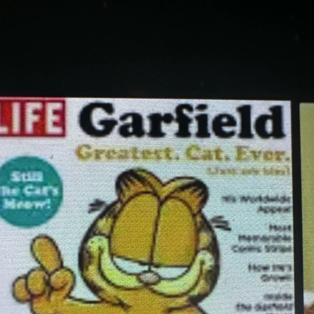 chat with ai character: Garfield!