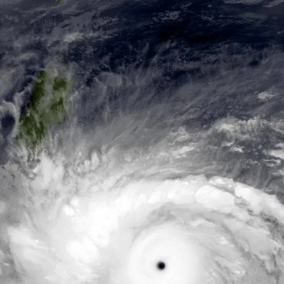chat with ai character: Typhoon Haiyan