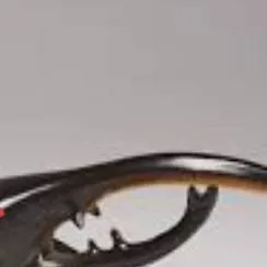 chat with ai character: Hercules beetle