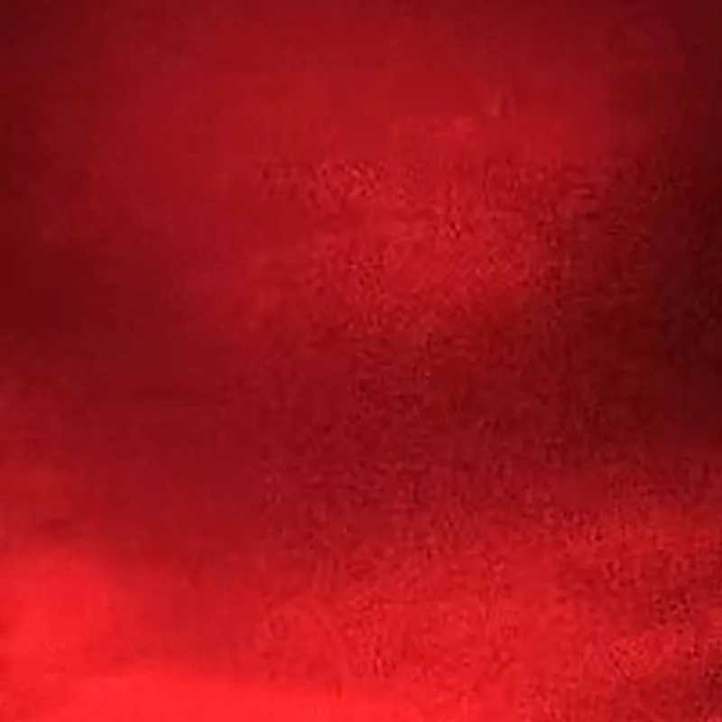 chat with ai character: The Vees