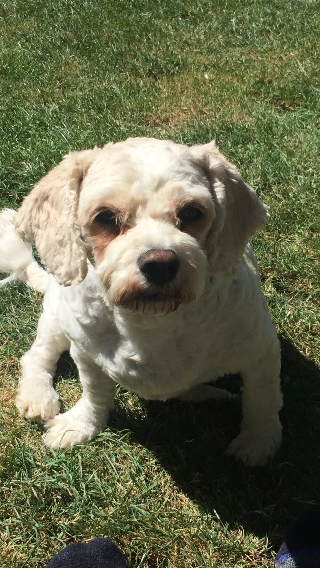 ai character: Rory background