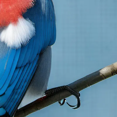 chat with ai character: Pajaro