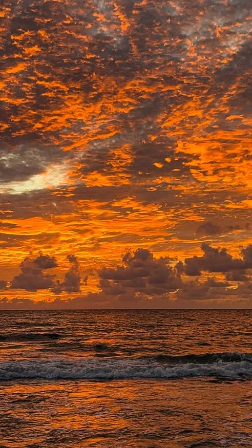 ai character: Cameron Boyce  background