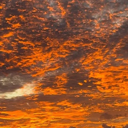 chat with ai character: Cameron Boyce 