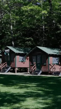 ai character: CAMP GROVE background