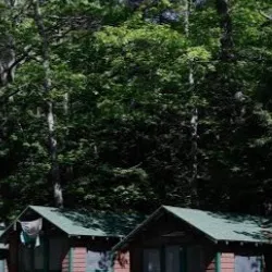 chat with ai character: CAMP GROVE