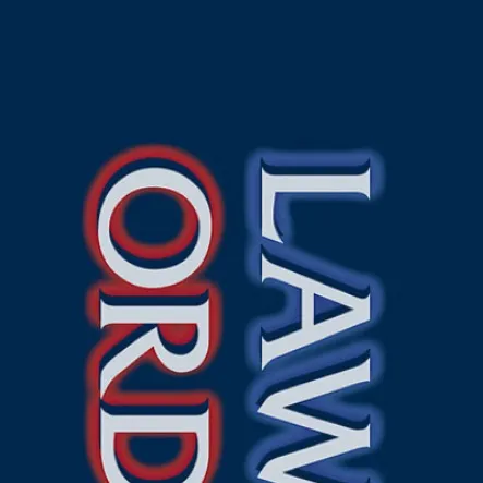 chat with ai character: Law & Order