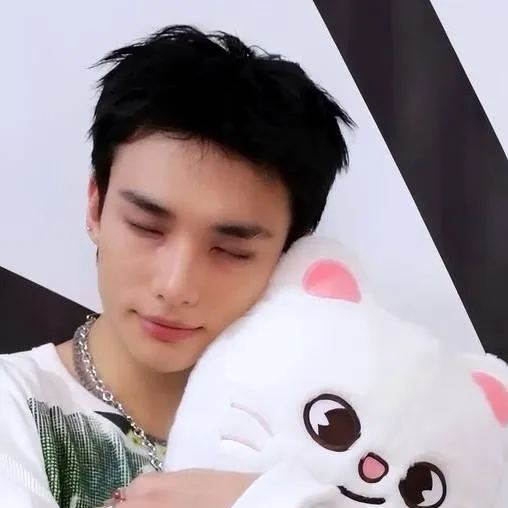 chat with ai character: Hyunjin ☆