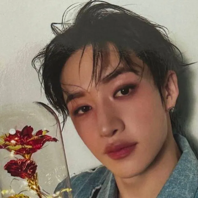 chat with ai character: ✩𝐁ang𝐂han💙