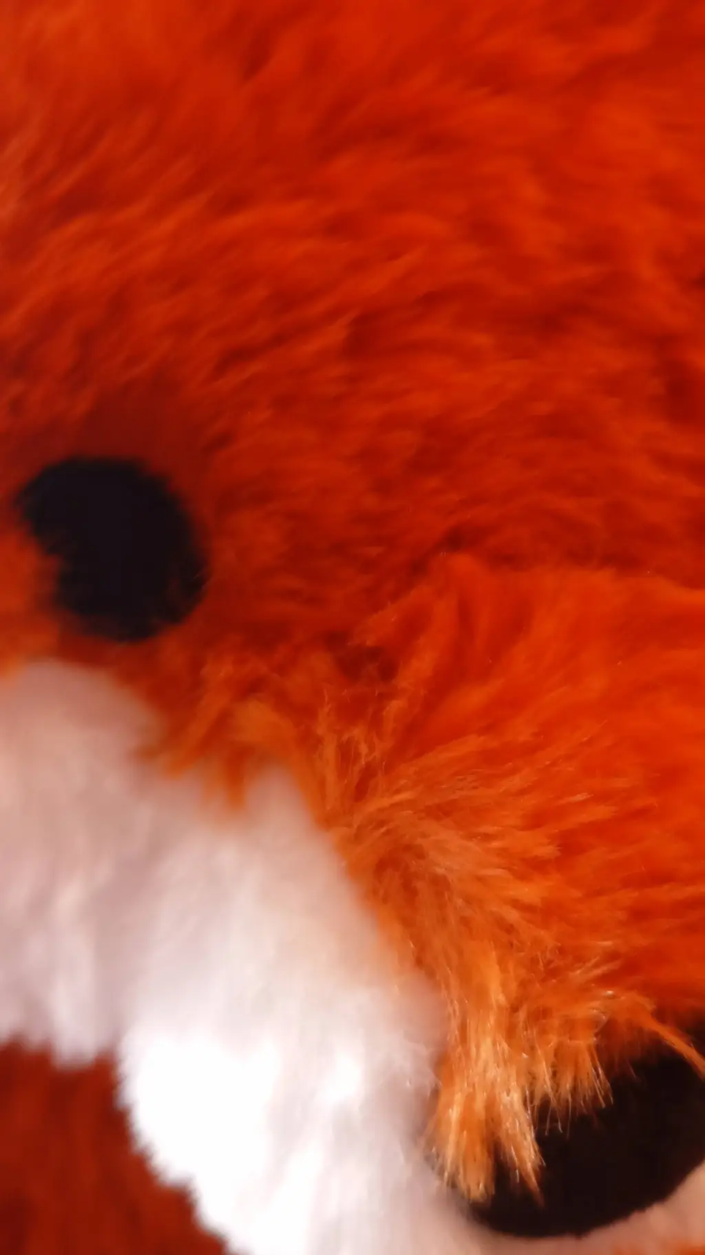 ai character: 🍃 ~ Mico :3 ~ 🦊 background