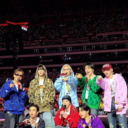 chat with ai character: straykids PickMe😭