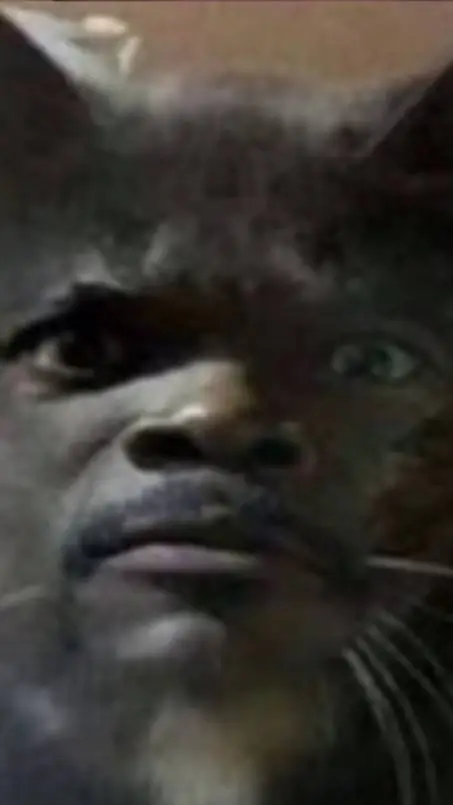 ai character: cat background