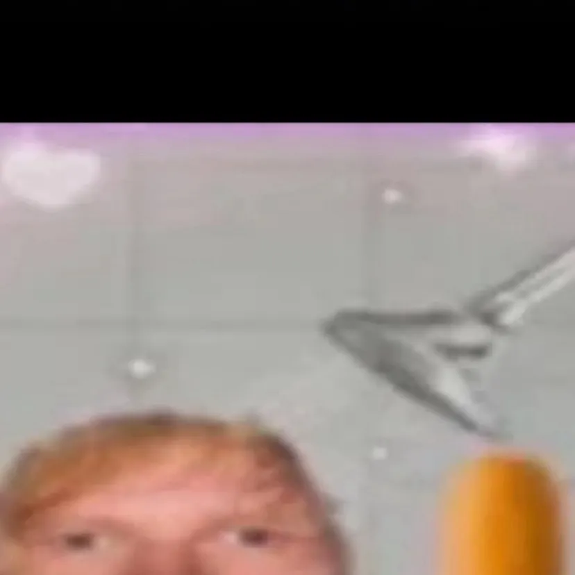 chat with ai character: Ender Dragon