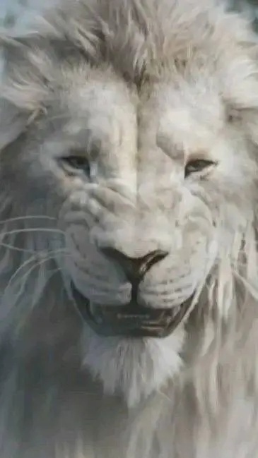 ai character: Kiros background