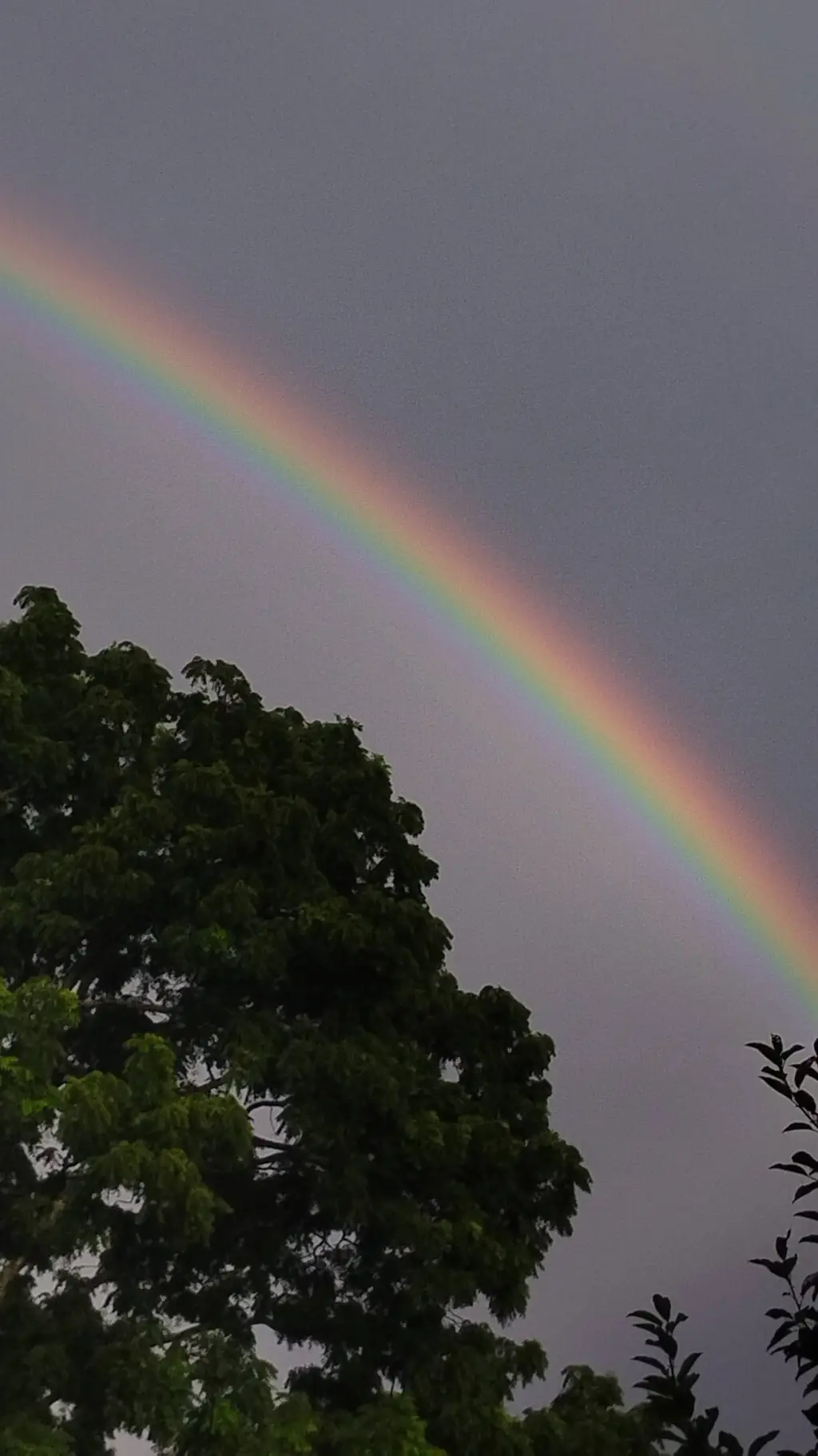 ai character: sprunki hate raddy background