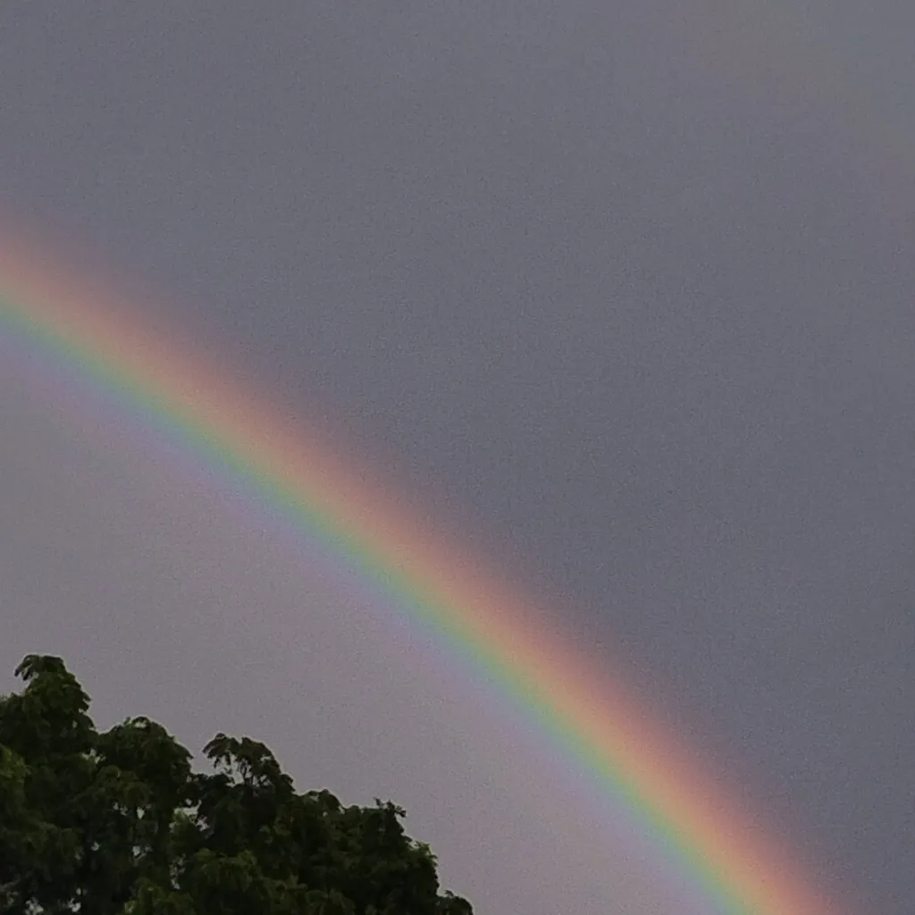 chat with ai character: sprunki hate raddy