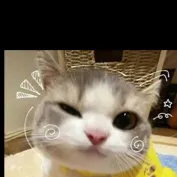chat with ai character: Requests? Anyone?