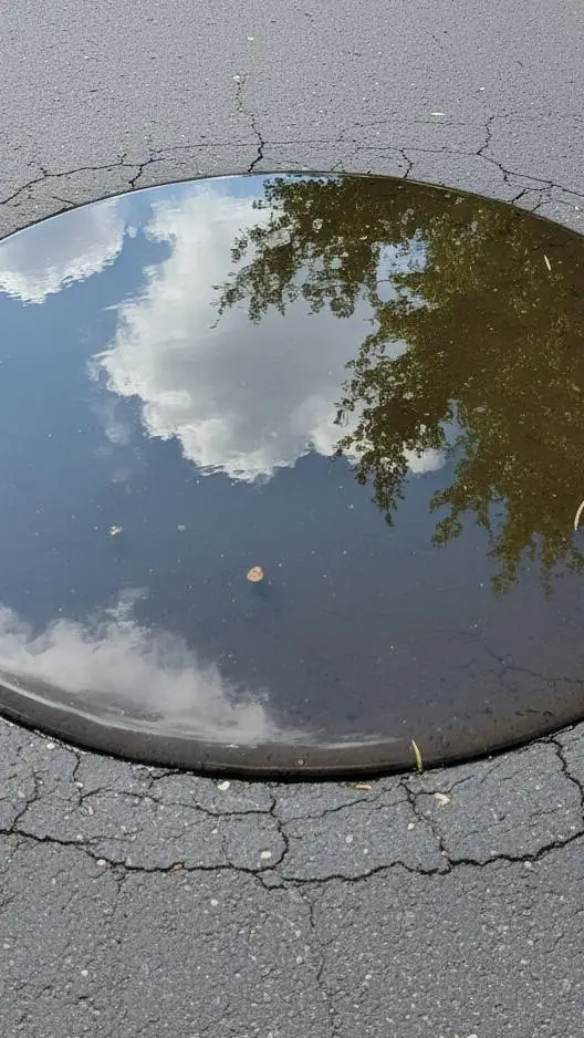 ai character: fat infection background