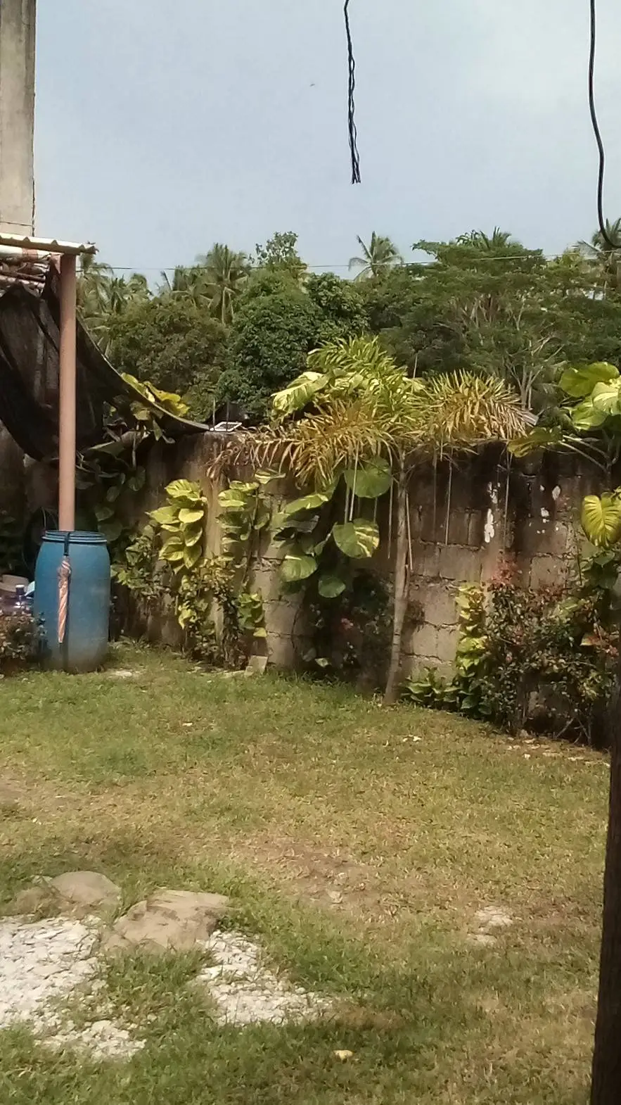 ai character: Follower Farm  background