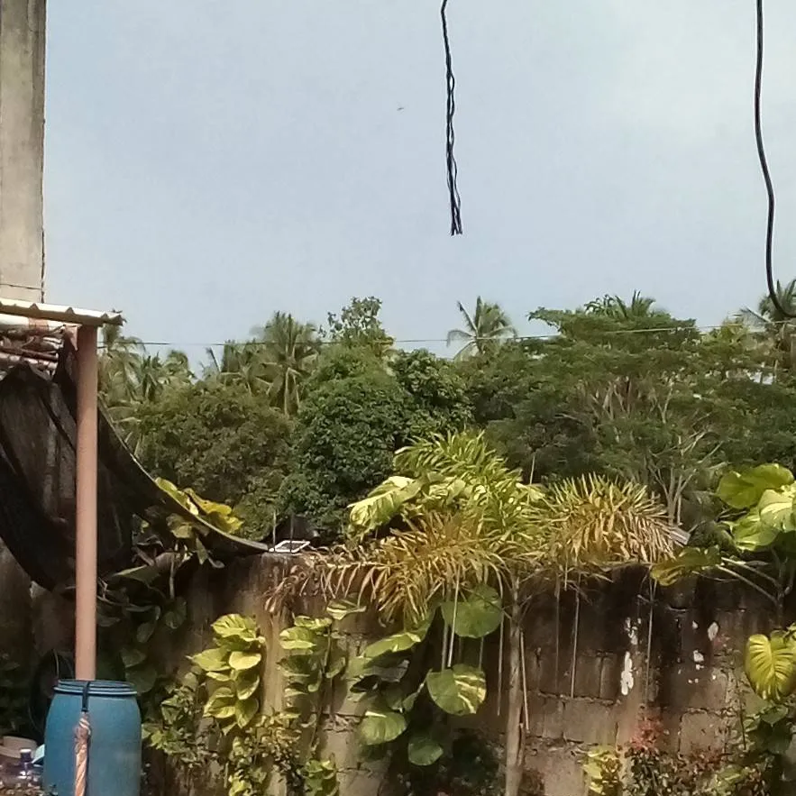 chat with ai character: Follower Farm 