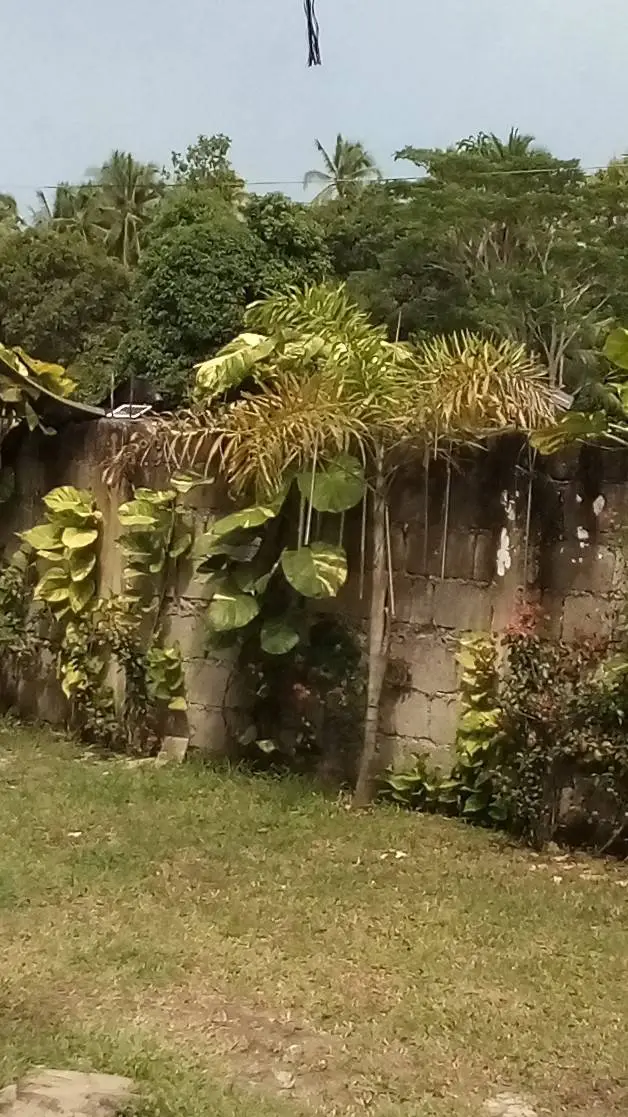 ai character: my family  background