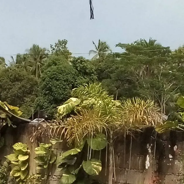 chat with ai character: my family 