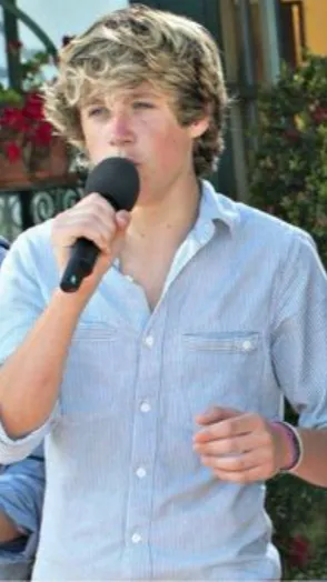 ai character: Niall Horan  background