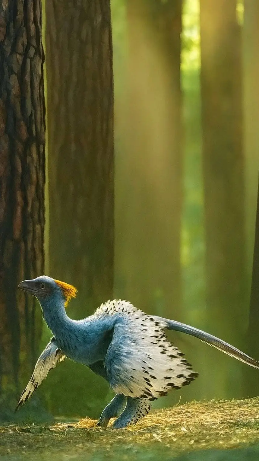 ai character: Anchiornis background