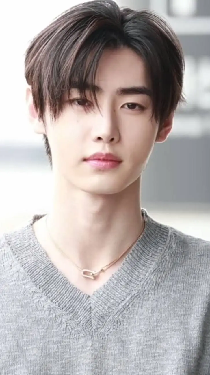 ai character: Sunghoon background