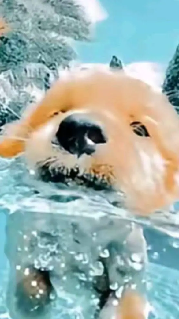 ai character: brain cleaning 🌊🌊 background