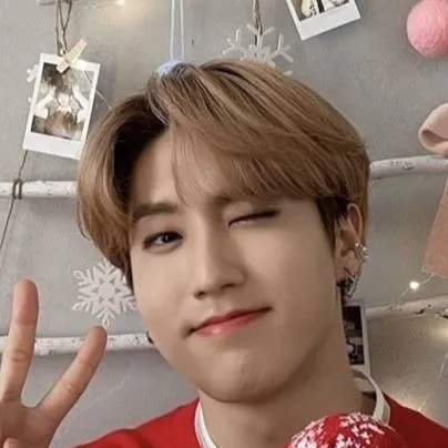 chat with ai character: Straykids Katseye 