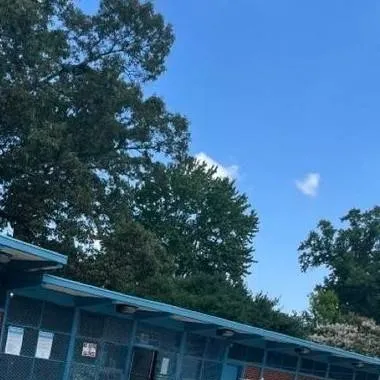 chat with ai character: StrangerThingsPool