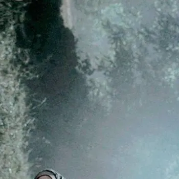 chat with ai character: Billy  SteveFight