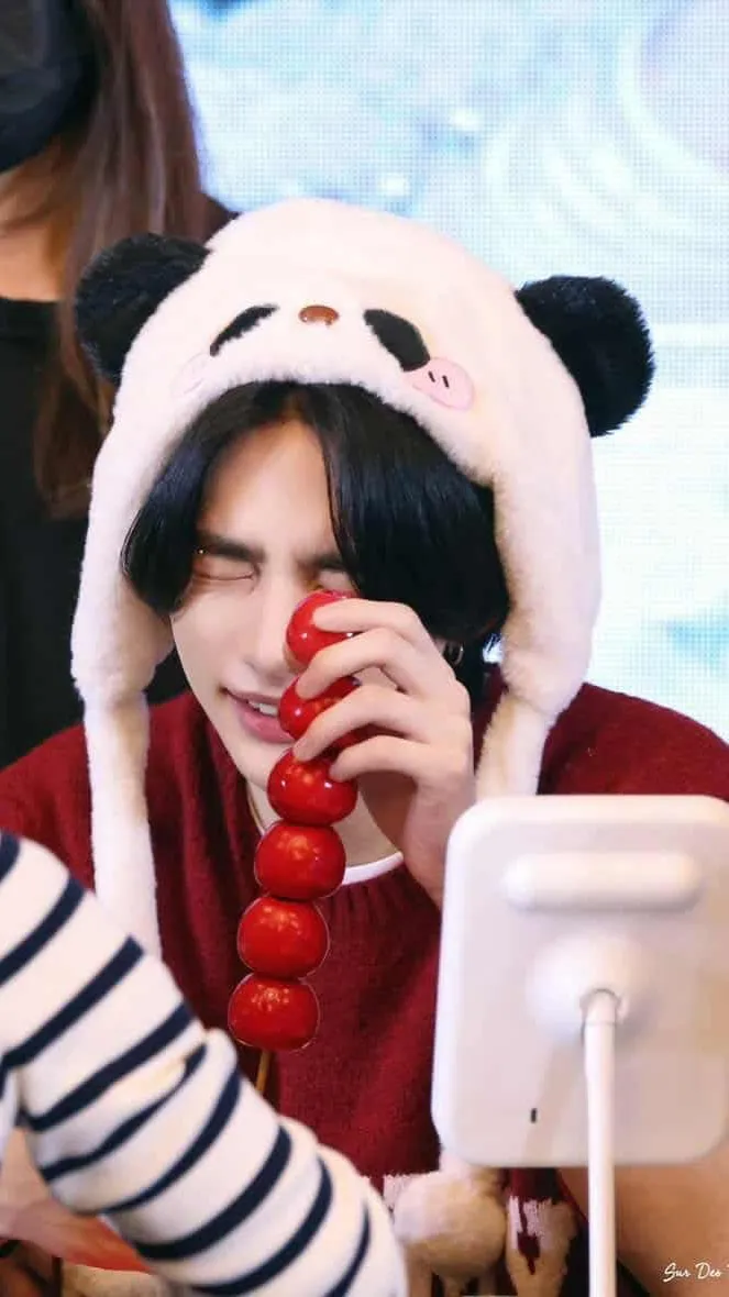 ai character: Hyunjin background